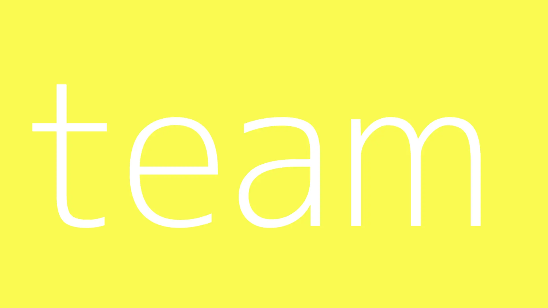 Meet the Team