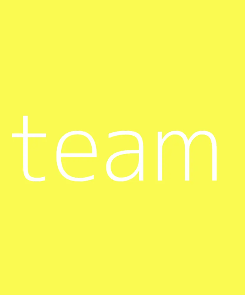 Meet the Team image